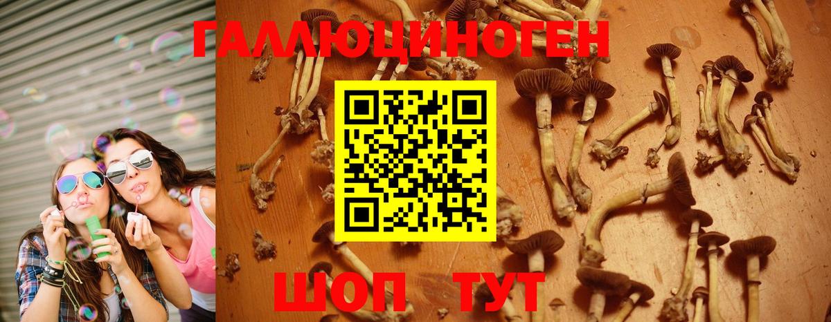 Псилоцибиновые грибы GOLDEN TEACHER  Вход с VPN  Шарыпово 