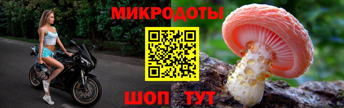 Галлюциногенные грибы мухоморы Шарыпово